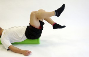 sp-pelvis-cover