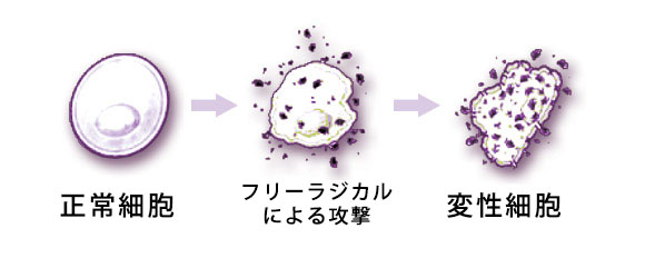 cell-process