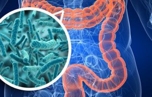 intestinal-flora