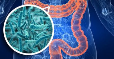 intestinal-flora