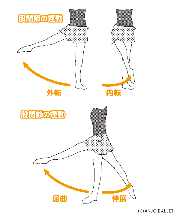 バレエ講師直伝 30日で前後180度開脚を目指す特選ストレッチ