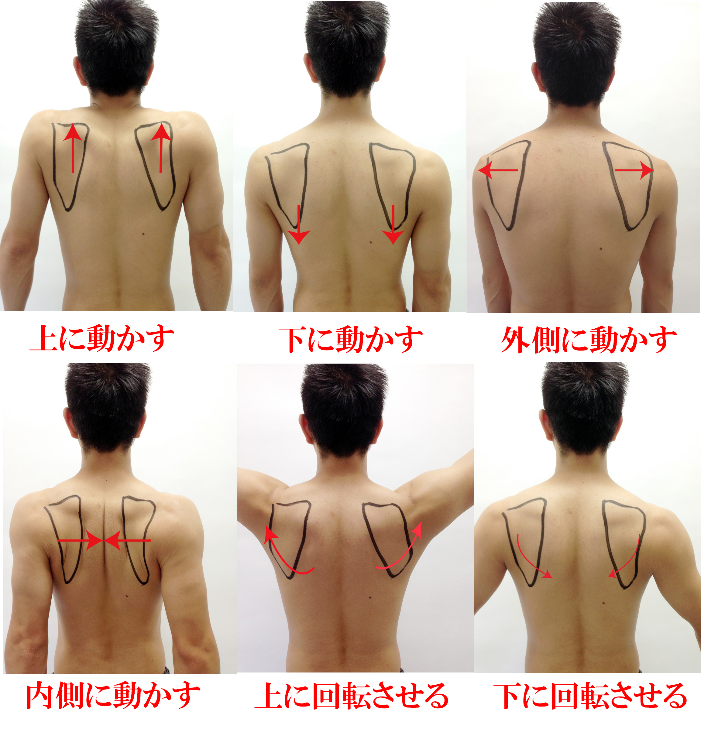 肩が痛い人は必見 よくある原因9選と5つの改善ストレッチ